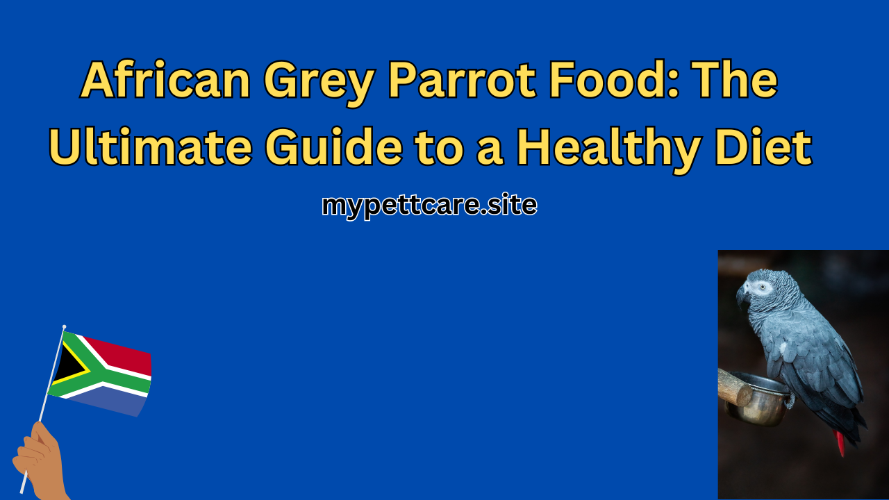 African Grey Parrot Food