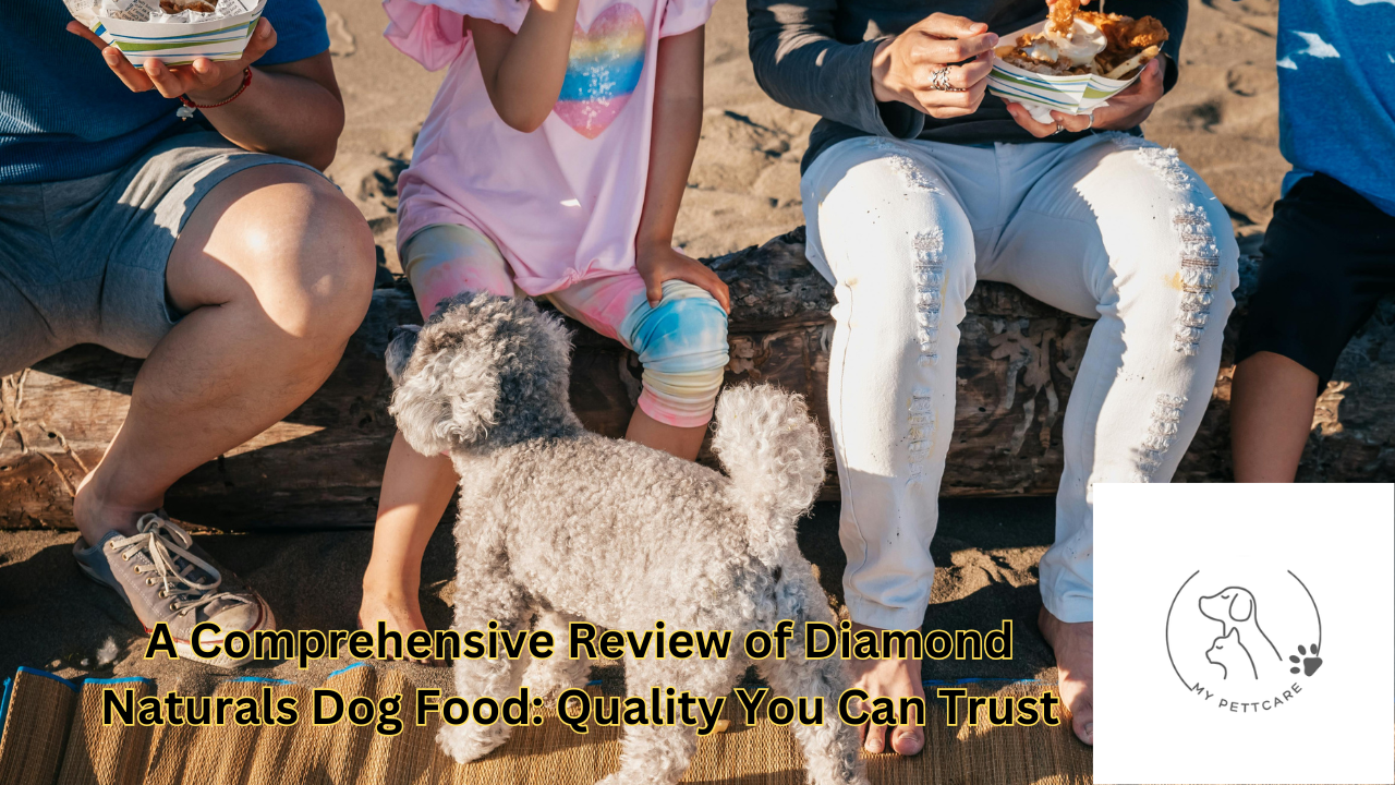 Diamond Naturals dog food